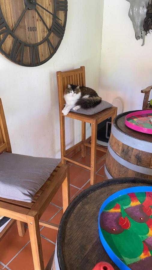 Studio Des Perruches Fort-de-France Zewnętrze zdjęcie